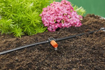 Изображение Gardena 13005-20 Micro Drip Planter rinkinys                                                                                                          